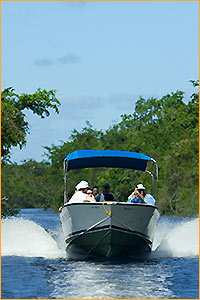 Jungle River Cruise - Ecological Tours Services - Belize