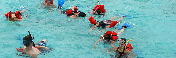 Snorkeling at Shark Ray Alley