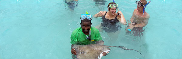 snorkeling with sting rays