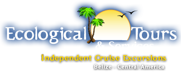 belize tours and excursions